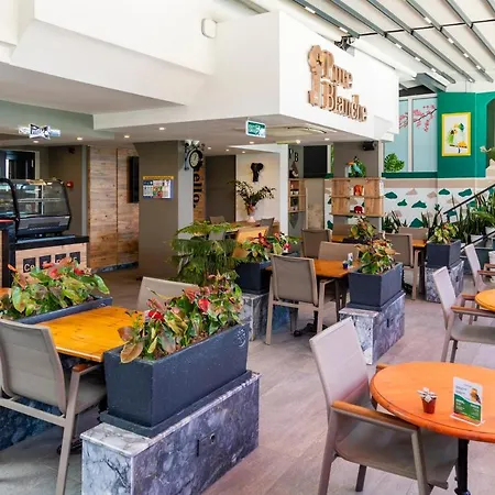 Pure Blanche Hotel 3*