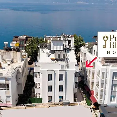 Pure Blanche Hotel